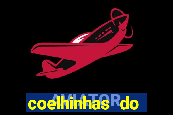 coelhinhas do brasil jp